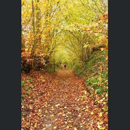 Апартаменты Enjoy 4